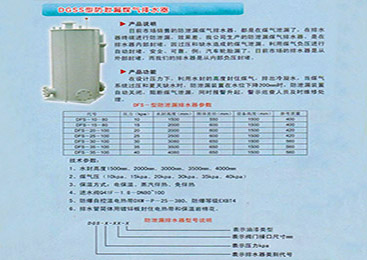 DGSS型防泄漏煤气排水器